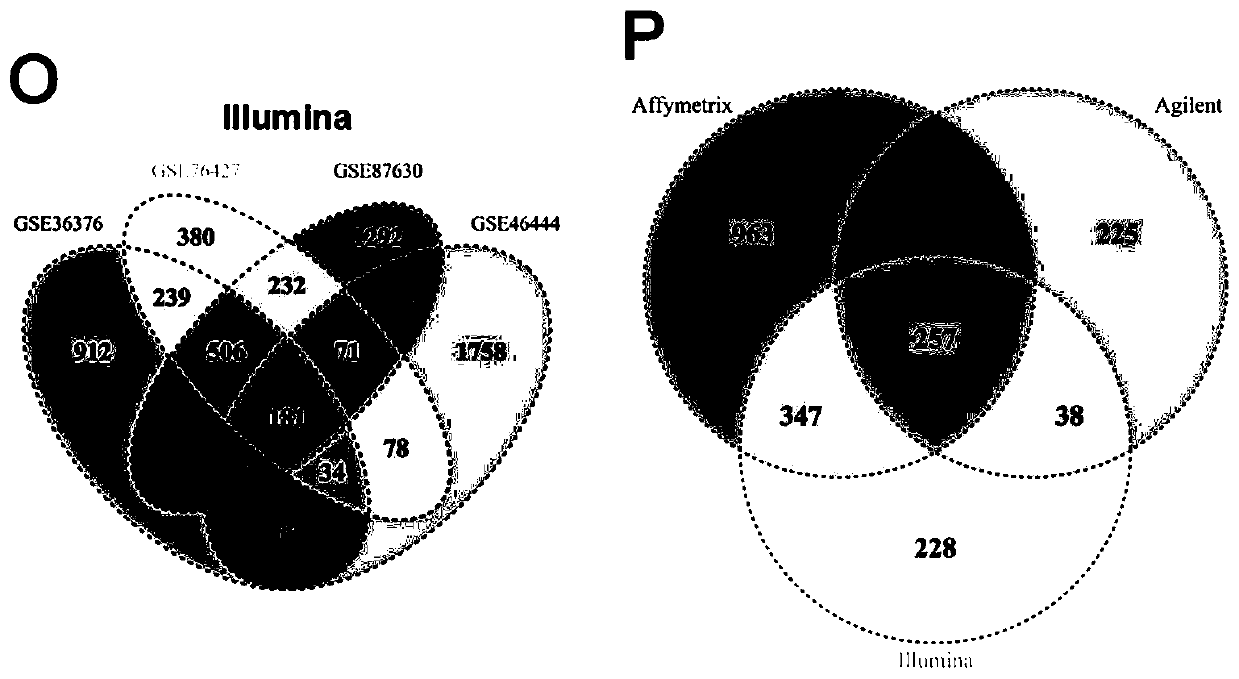 Construction and application evaluation of molecular model for predicting postoperative early recurrence risk of liver cancer