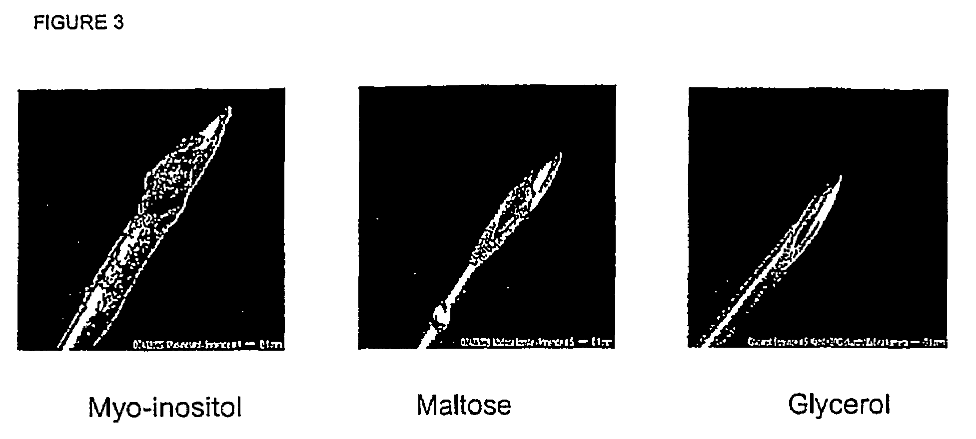 Propylene glycol-containing peptide formulations which are optimal for production and for use in injection devices