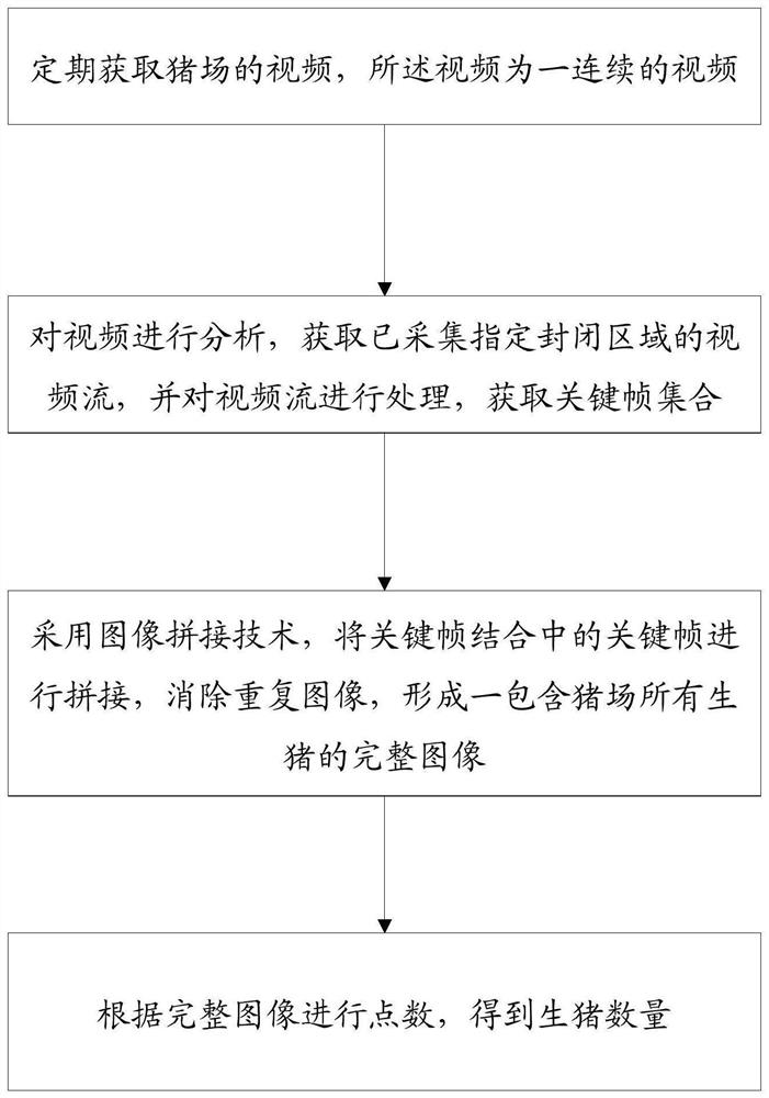 AI video counting method, device, equipment and medium for live pig breeding