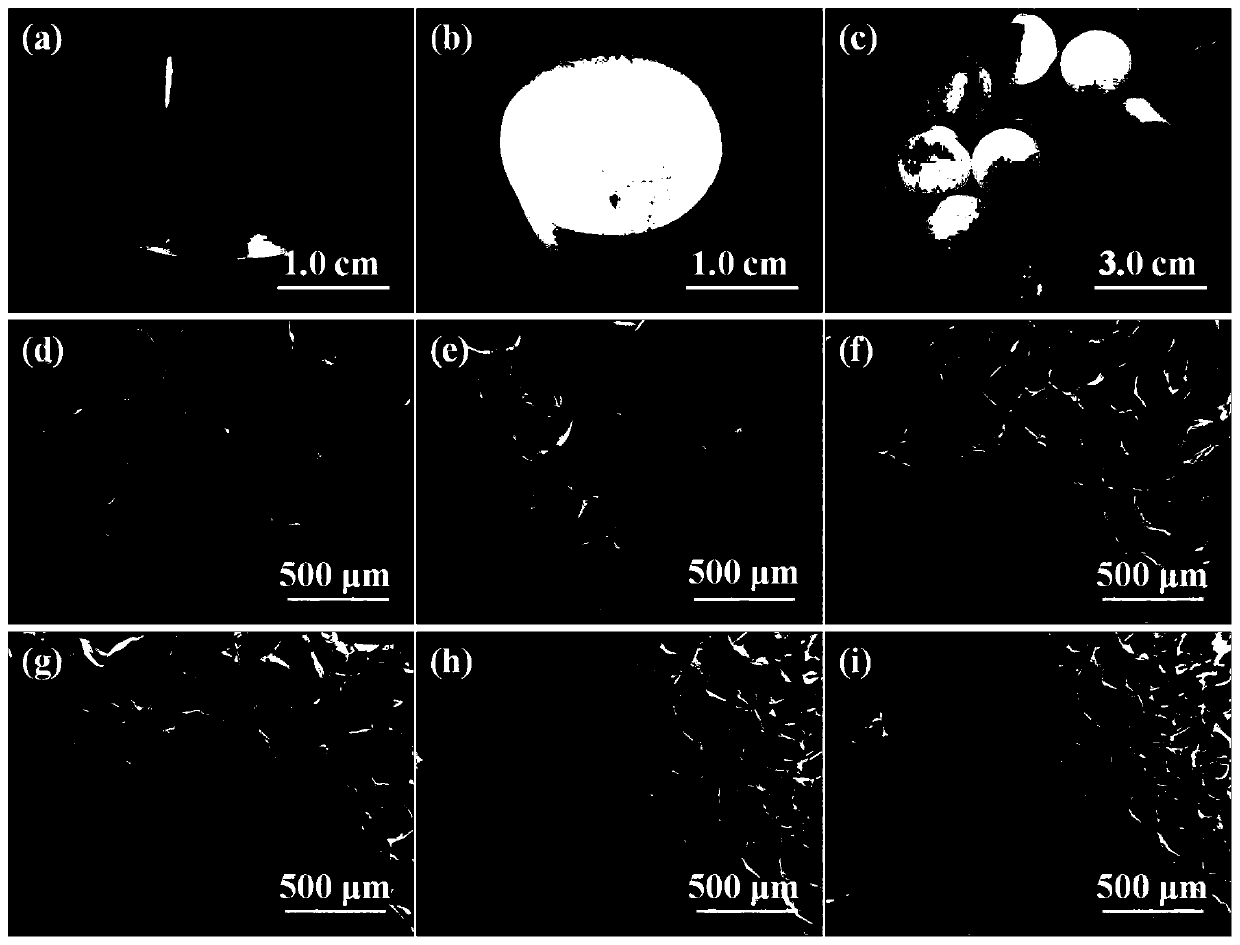 Functional drug-sustained-release medical dressing constructed by alginic acid aminated derivative/bacterial cellulose nanocrystal composite gel