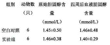 Rumex beverage and preparation method thereof