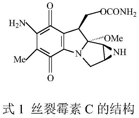 A method for synthesizing 2,3-dimethyl-5-alkylamino-1,4-benzoquinone in one pot with two enzymes