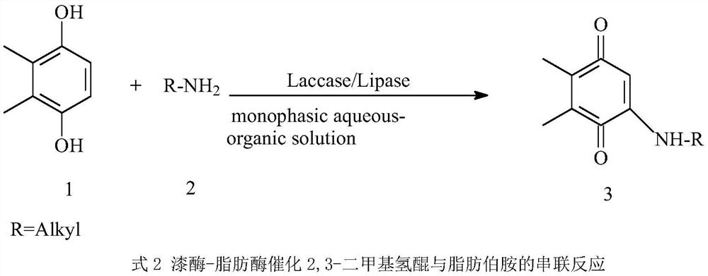 A method for synthesizing 2,3-dimethyl-5-alkylamino-1,4-benzoquinone in one pot with two enzymes