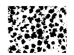 Preparation method for medical metal implant material porous niobium