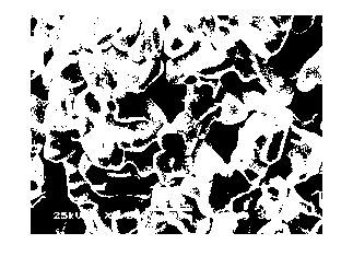 Preparation method for medical metal implant material porous niobium