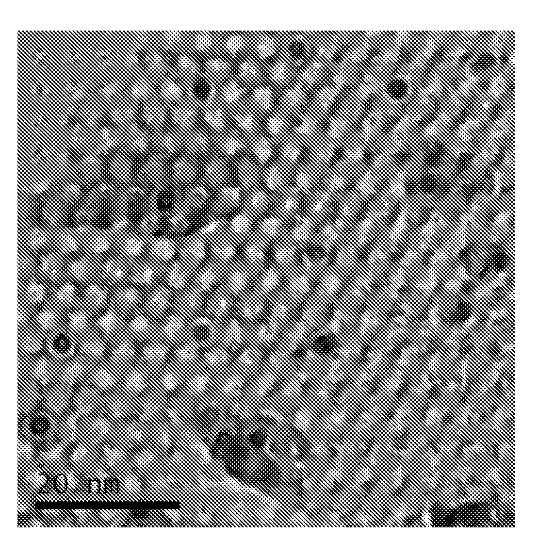 Catalyst, Method for Manufacturing the Same by Supercritical Fluid and Method for Hydrogenating an Aromatic Compound by Using the Same