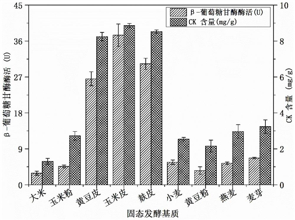 Method for preparing rare ginsenoside through solid-state fermentation of stereum hirsutum and cellulase