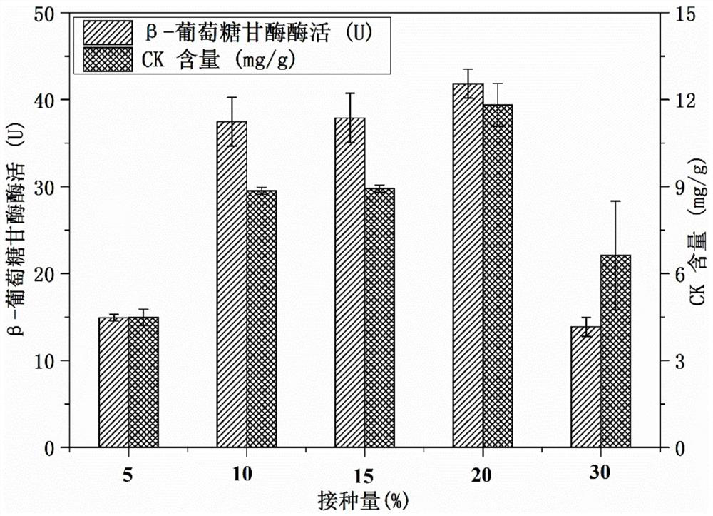 Method for preparing rare ginsenoside through solid-state fermentation of stereum hirsutum and cellulase