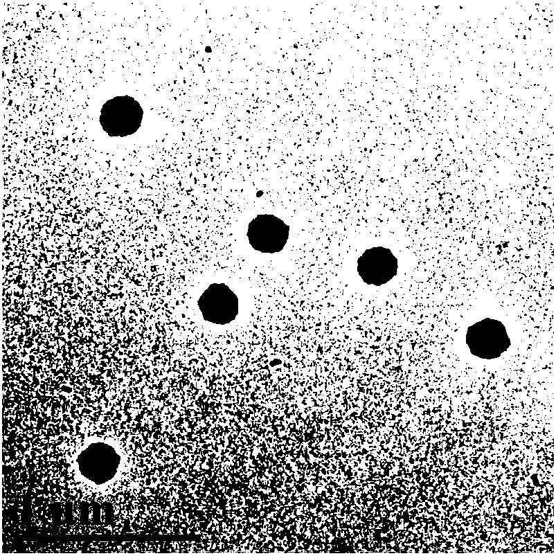 Surface plasma nano-drug carrier and preparation method and application thereof