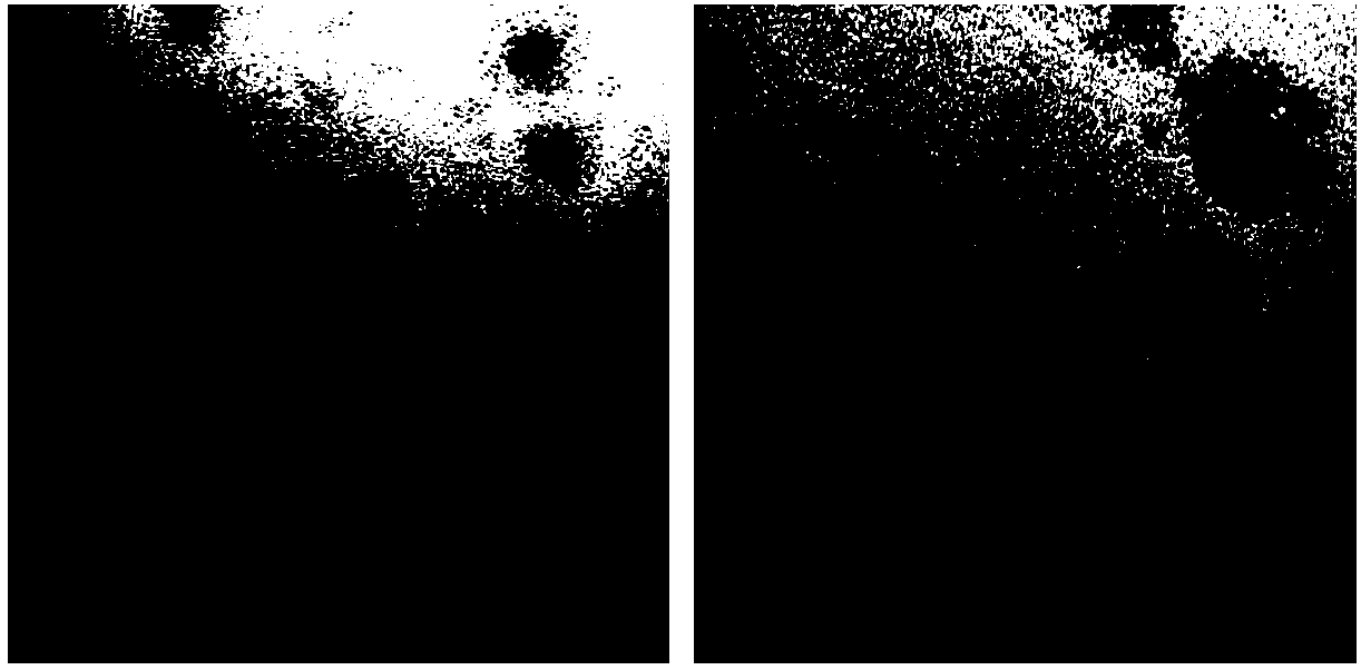 Surface plasma nano-drug carrier and preparation method and application thereof