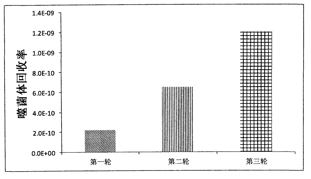 Polypeptide combined with FAP (Fibroblast Activation Protein)