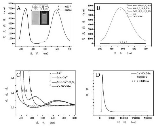 Preparation method of orange-red fluorescent copper nanoclusters based on l-methionine