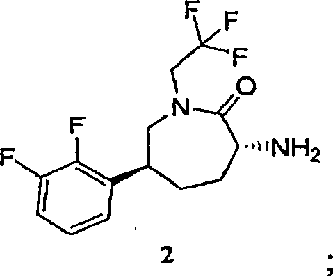 Process for the preparation of cgrp antagonist