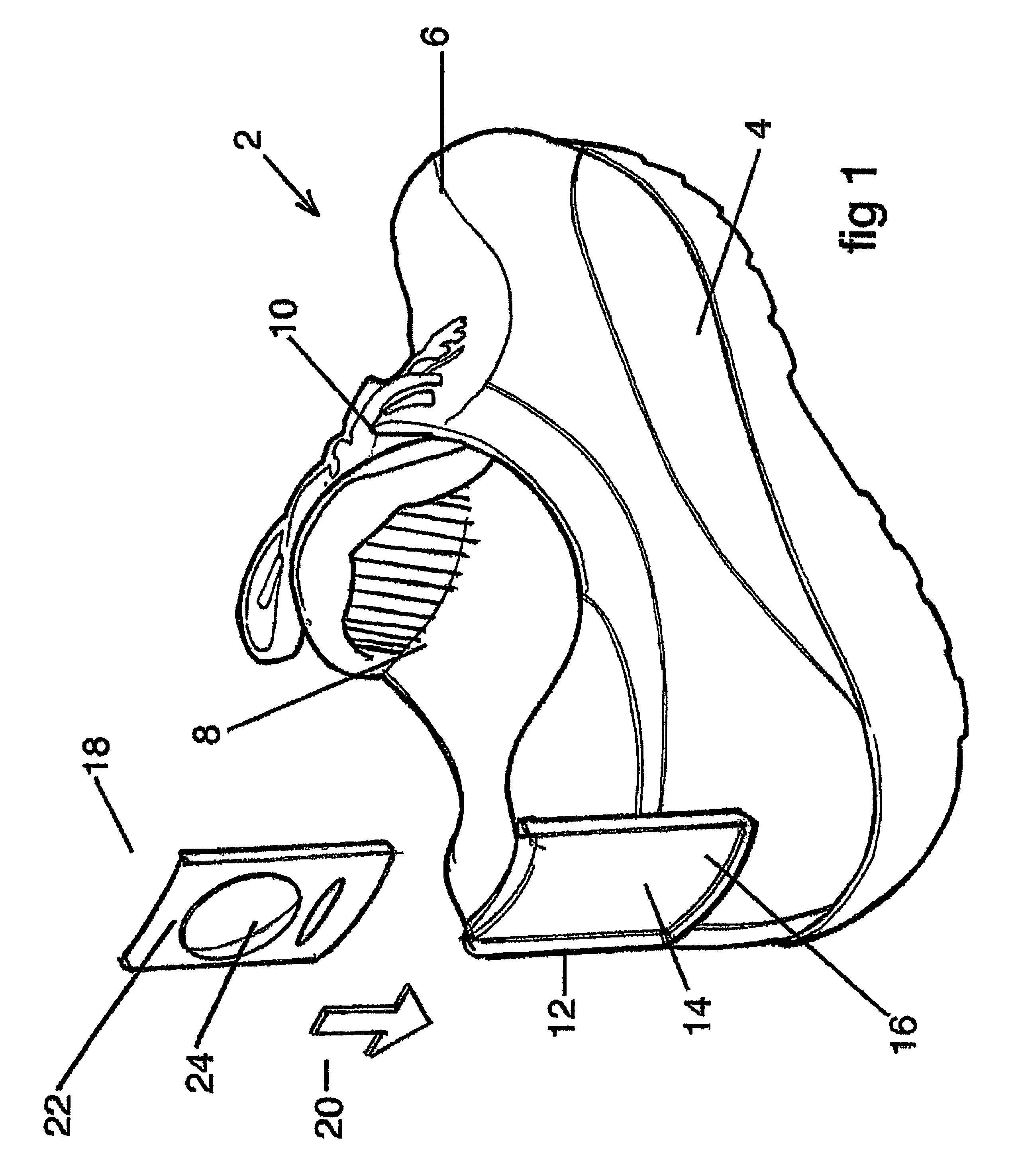 Insole for a shoe and accessories therefor