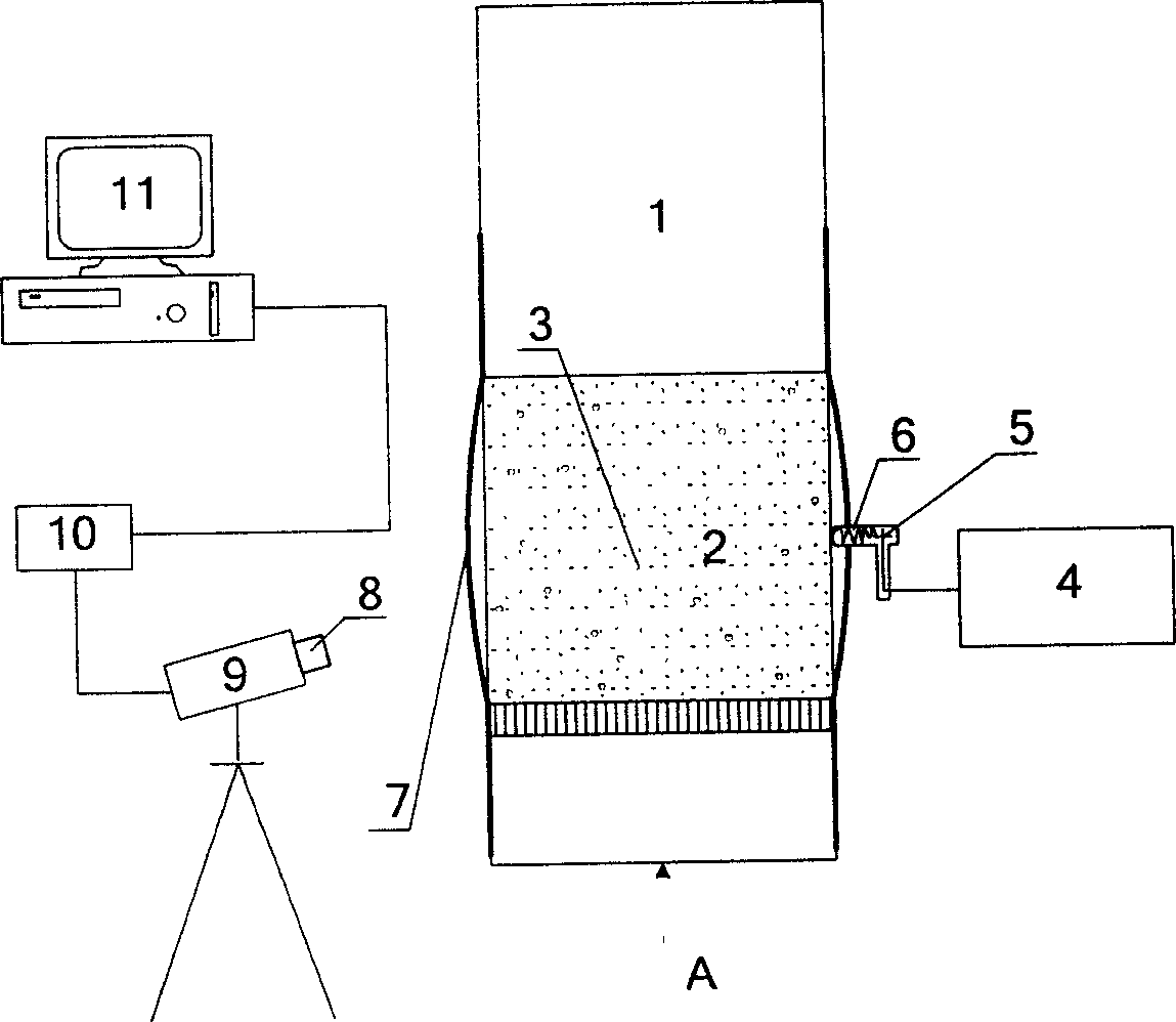 Measuring apparatus and measuring method for gas-solid fluidized bed particle mixing