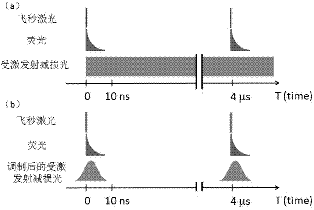 Ultrahigh-resolution nonlinear fluorescence excitation microscopic system based on Bragg diffraction crystals