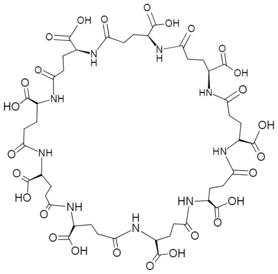 Preparation method of cyclic gamma-polyglutamic acid modified hydrogel loaded with antibacterial drug