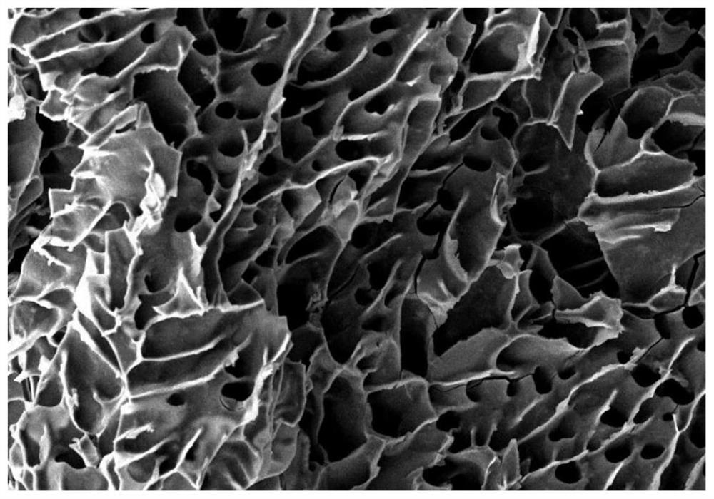 Preparation method of cyclic gamma-polyglutamic acid modified hydrogel loaded with antibacterial drug