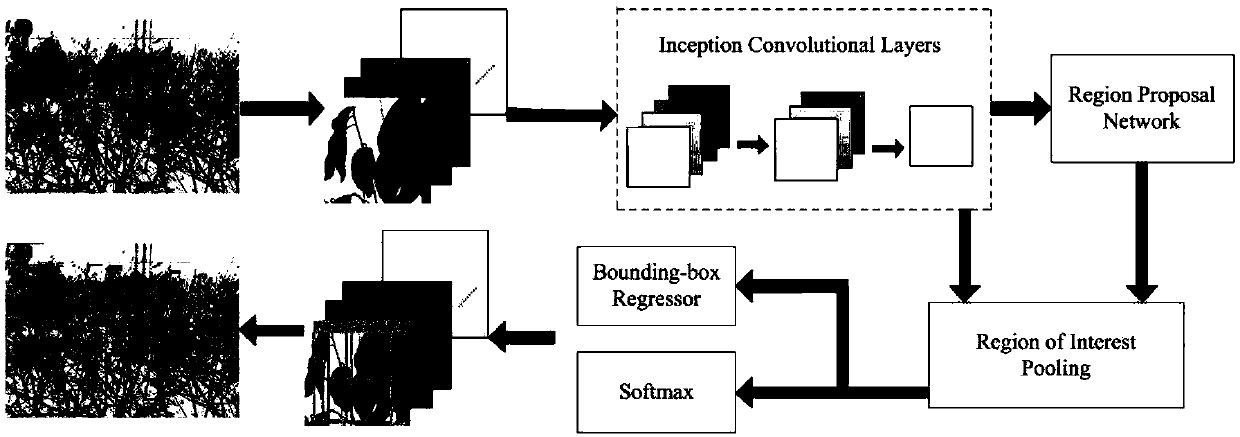 Plant leaf identification method based on deep learning