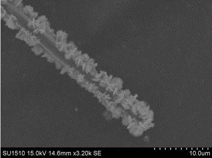 Preparation method and application of a surface-mounted linear silver photocatalyst