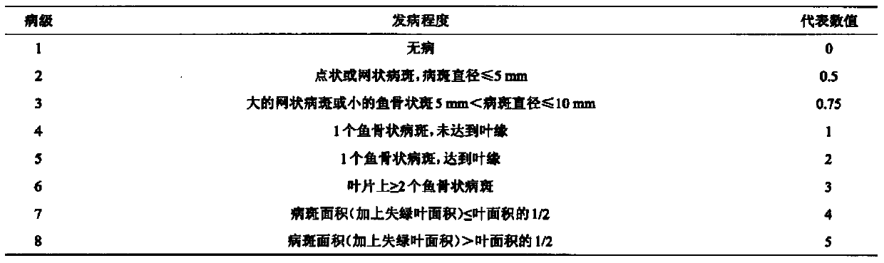 Medicament for preventing and controlling corynespora leaf fall disease of rubber tree