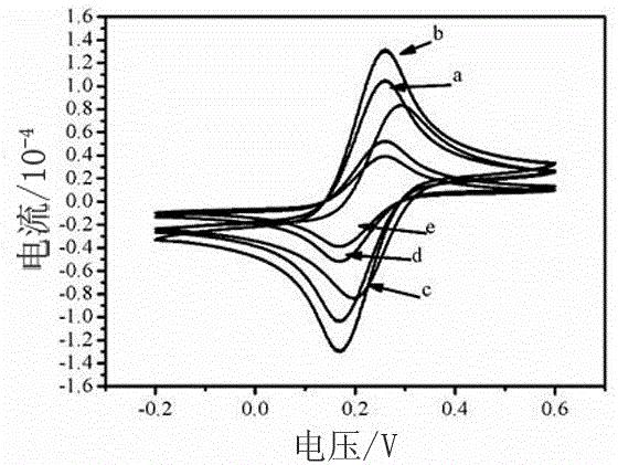 Electrochemiluminescent biosensor for detection of endonuclease, preparation and application thereof