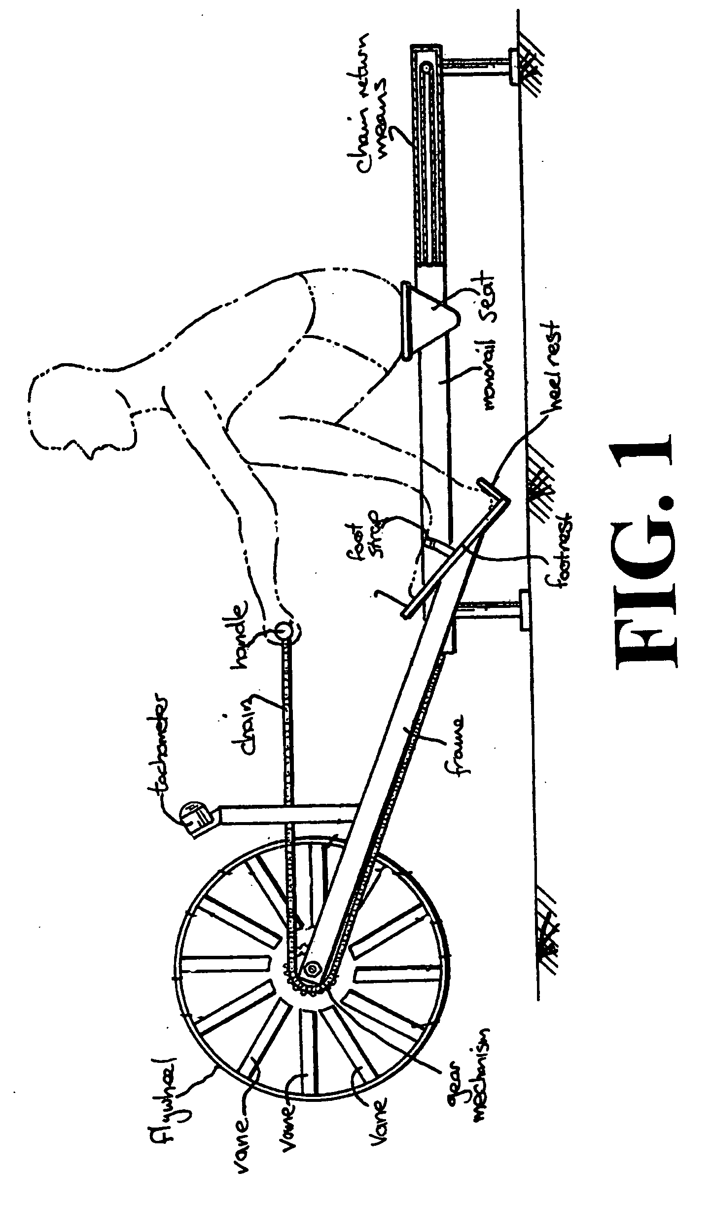 Rowing Machine Simulators