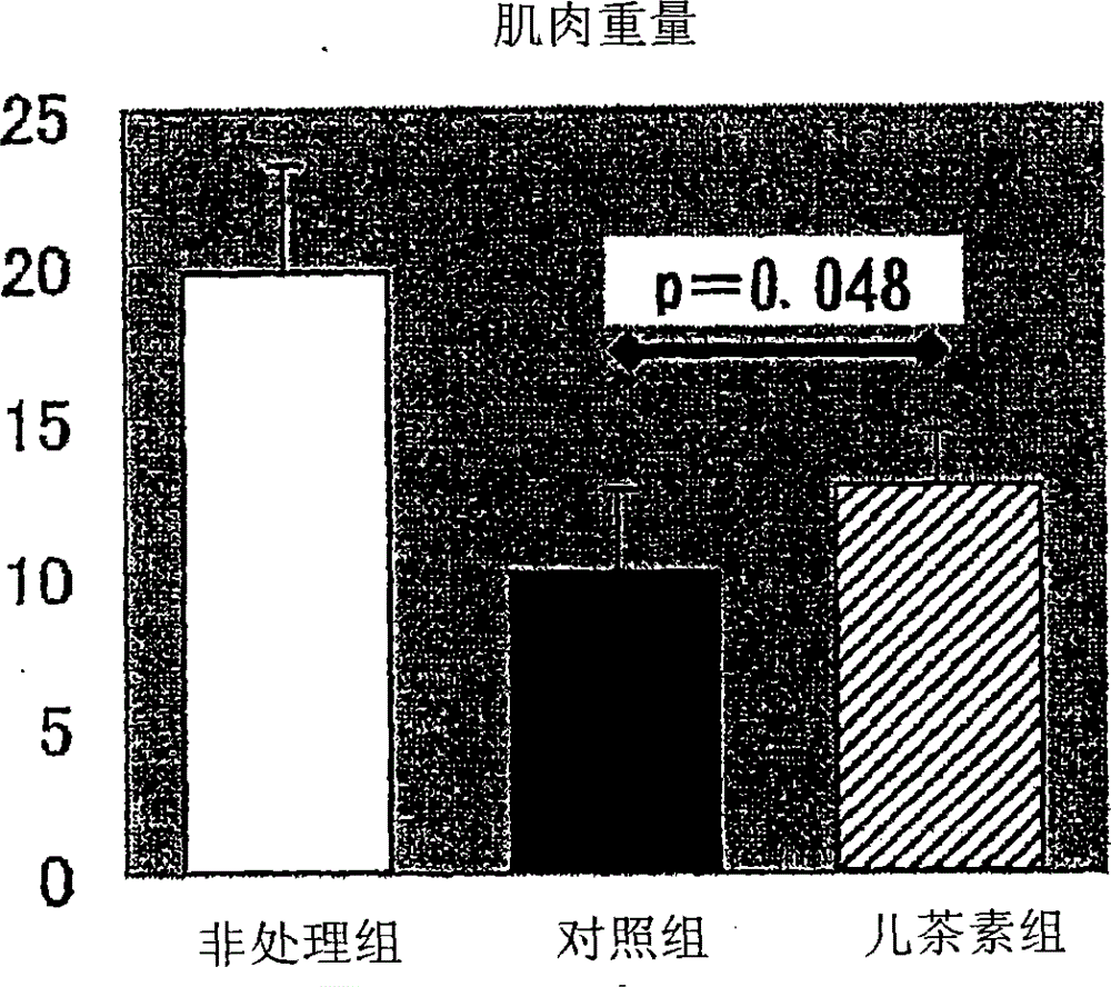 aging inhibitor