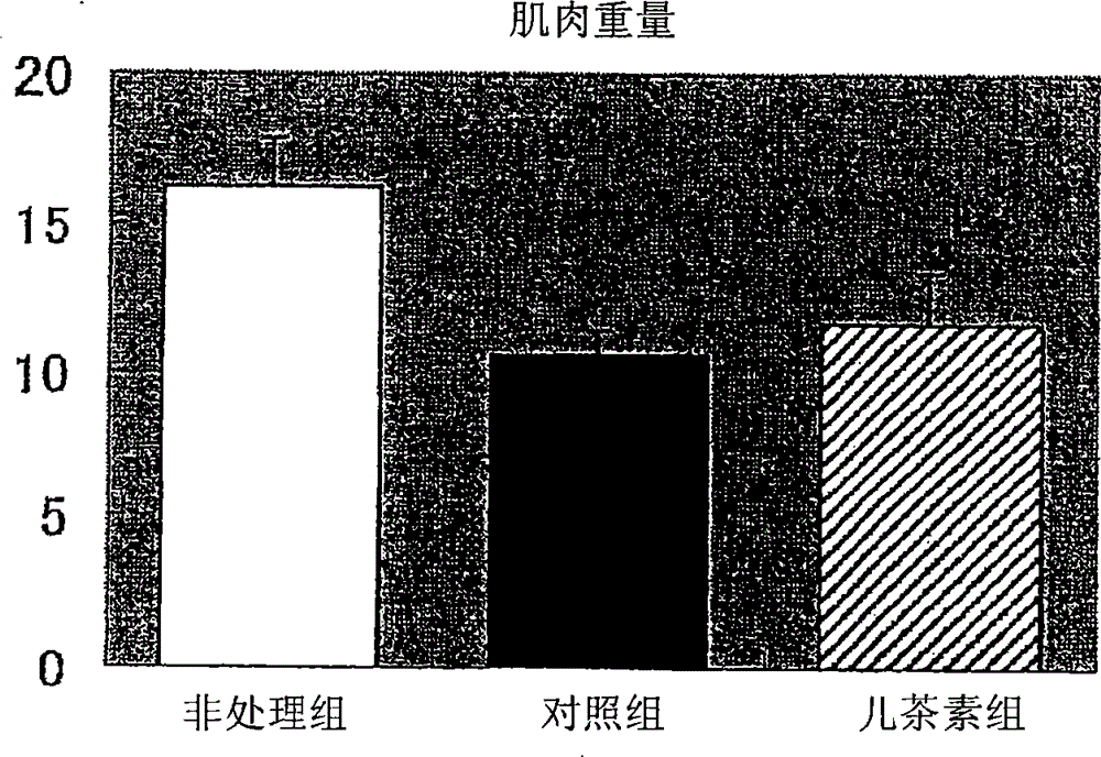 aging inhibitor