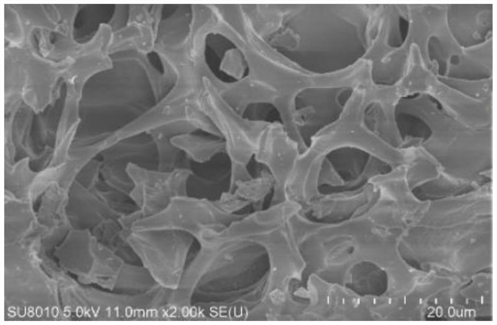 Preparation method and application of modified locust tree leaf charcoal