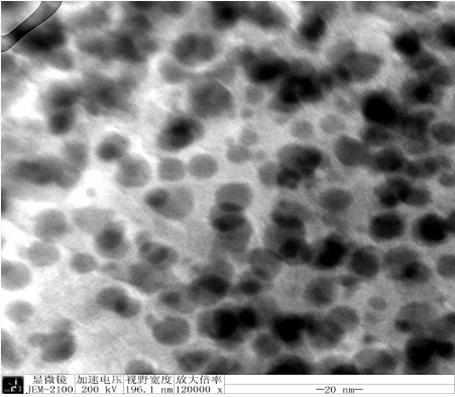 Method for synchronous precipitation and polymeric synthesis of floatable silver sulfide nanocrystalline