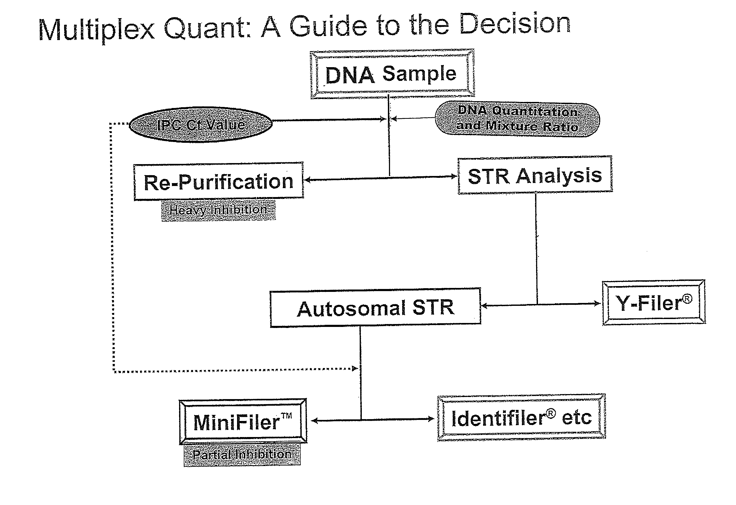 Multiplex compositions and methods for quantification of human nuclear DNA and human male DNA and detection of PCR inhibitors