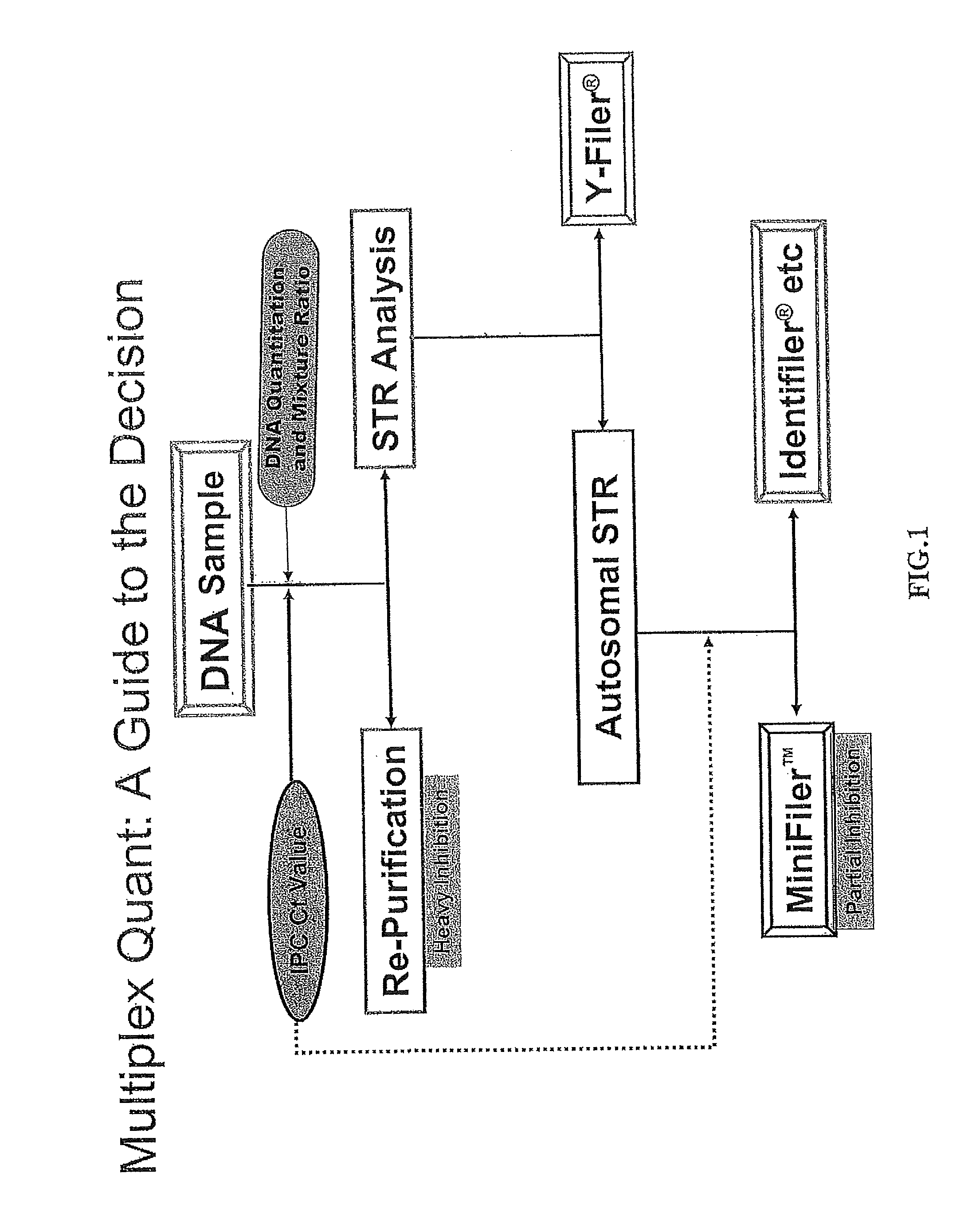 Multiplex compositions and methods for quantification of human nuclear DNA and human male DNA and detection of PCR inhibitors