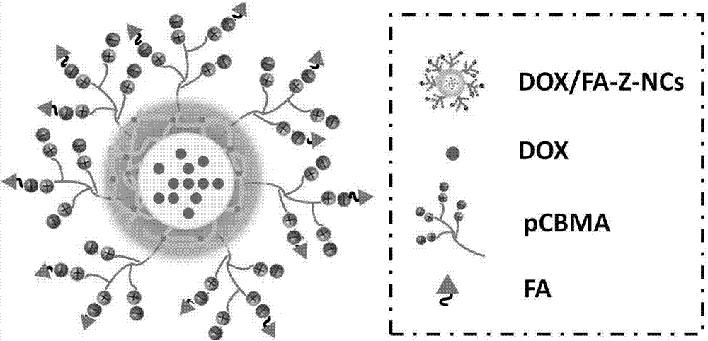 Microenvironment-sensitive drug-loading nano capsules with tumor cell biological reducibility and preparation method thereof