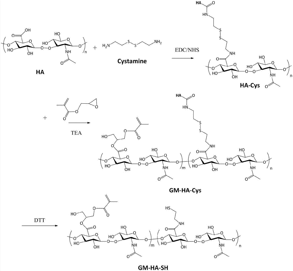 Microenvironment-sensitive drug-loading nano capsules with tumor cell biological reducibility and preparation method thereof