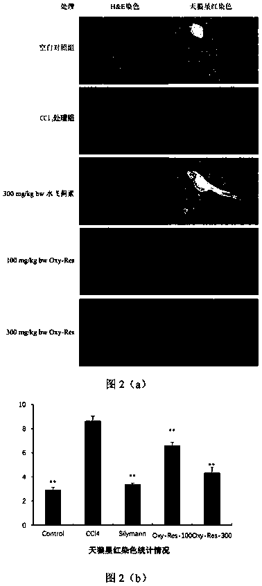 Application of oxidized resveratrol