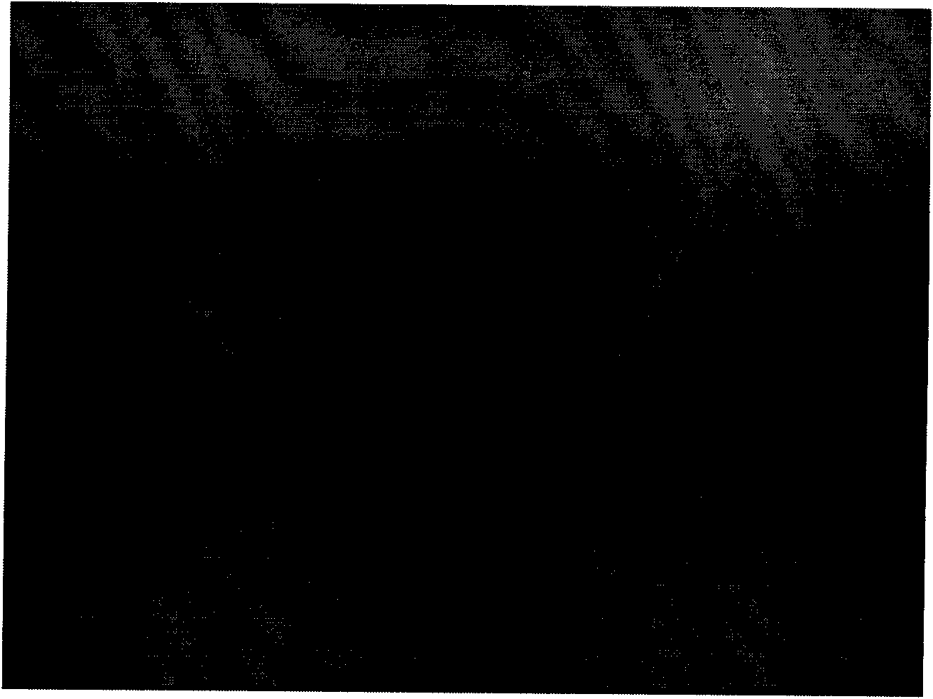 Multivalent vaccine for bacillary dysentery