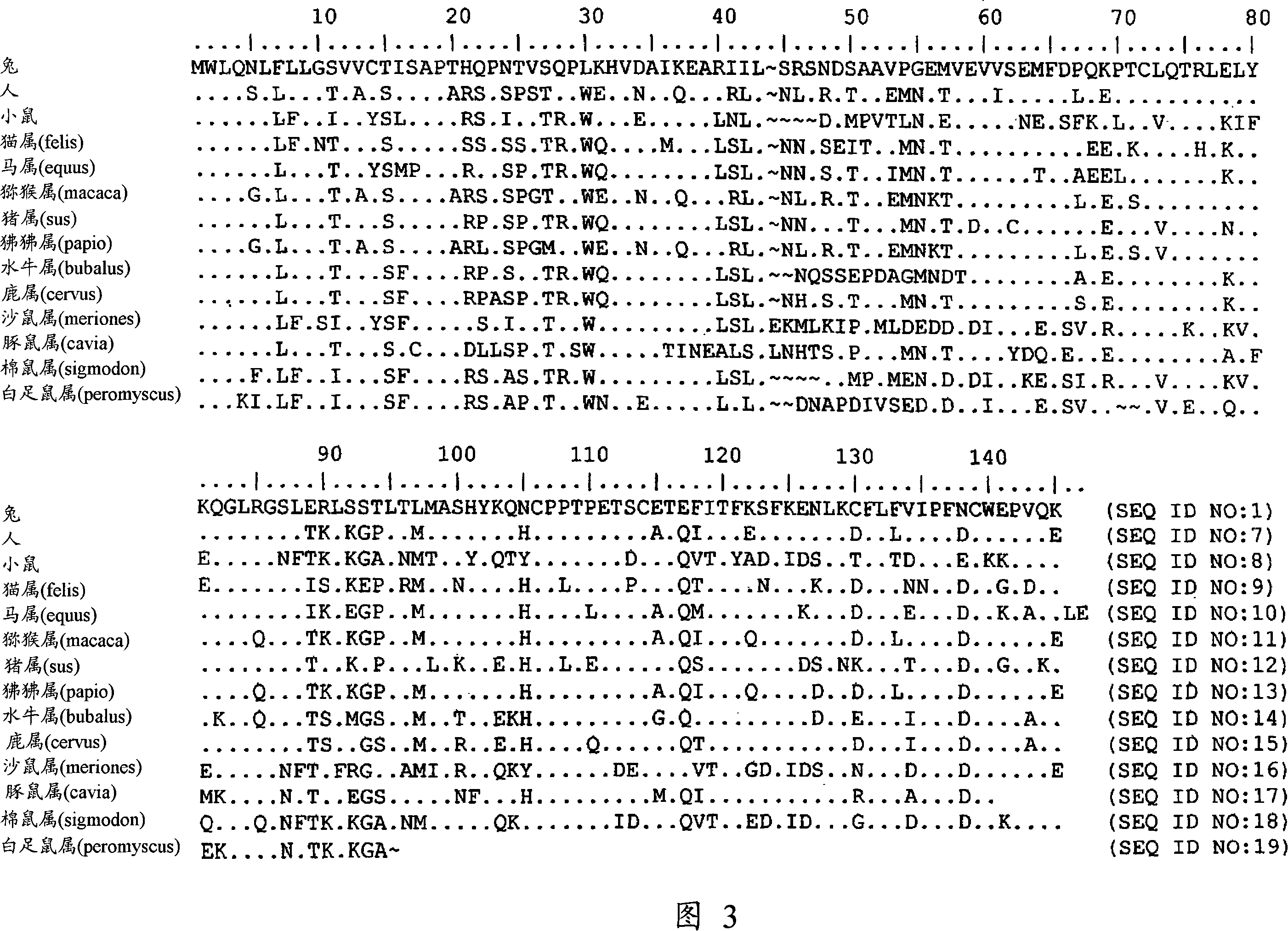 Improved DNA immunization with recombinase/transposase