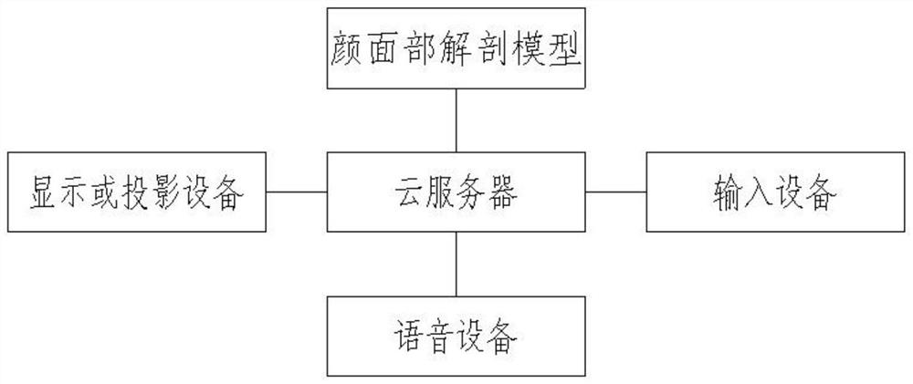 A modeling method and teaching system for facial anatomy teaching