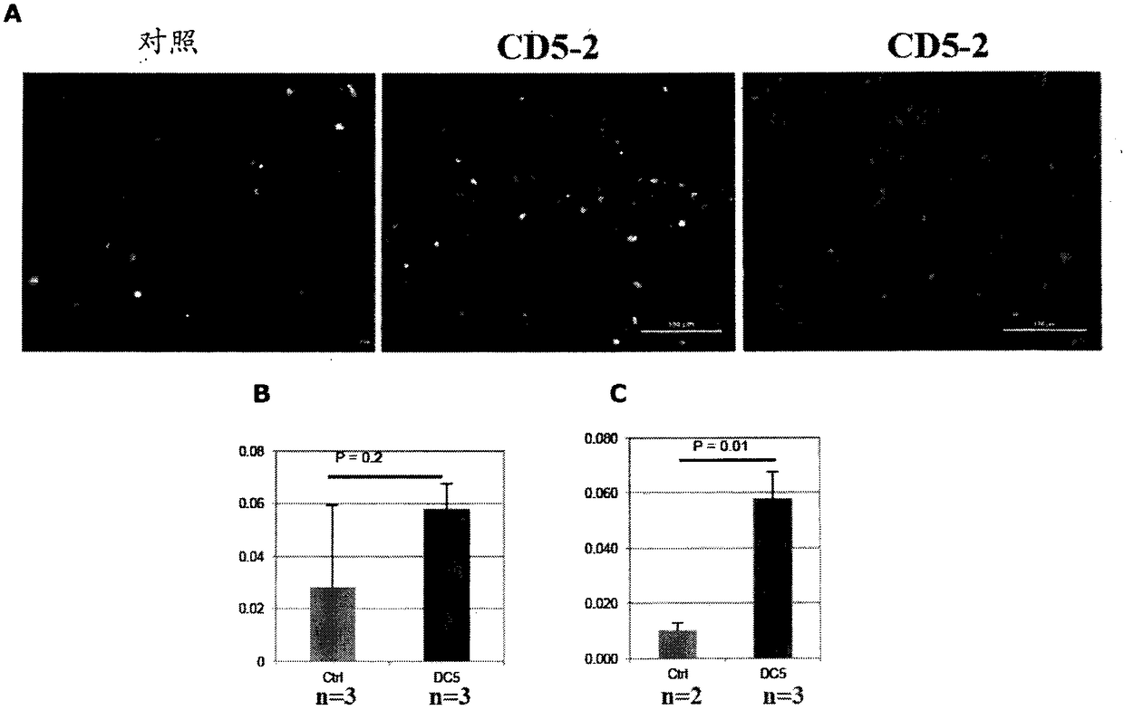 Methods for treating tumours