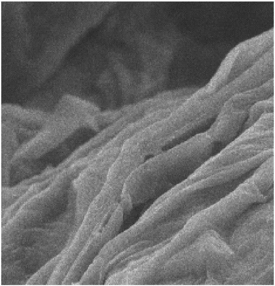 Preparation method for phosphorene-polydopamine composite film