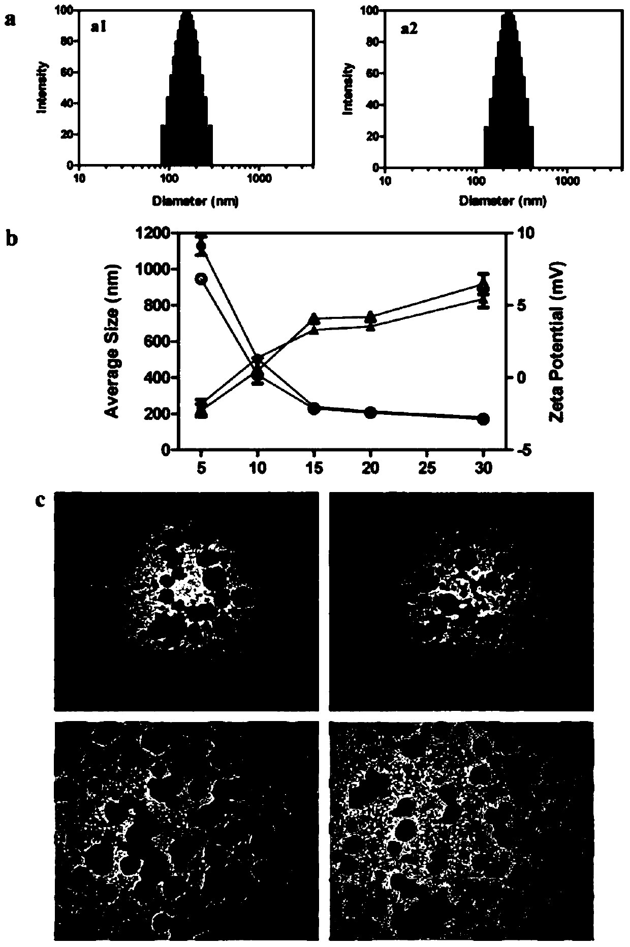 Recombinant plasmids based on polyethylene glycol-polylactic acid glycolic acid-polylysine composite nanomaterials and their preparation and application