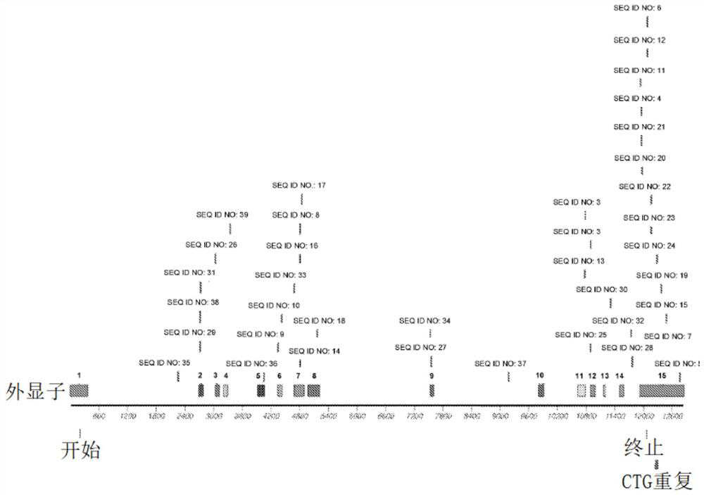 Compositions and methods for reducing spliceopathy and treating RNA dominance disorders