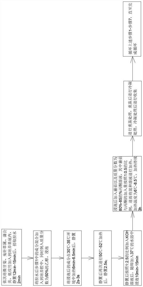 Plant type efficient environment-friendly deodorant and preparation method thereof