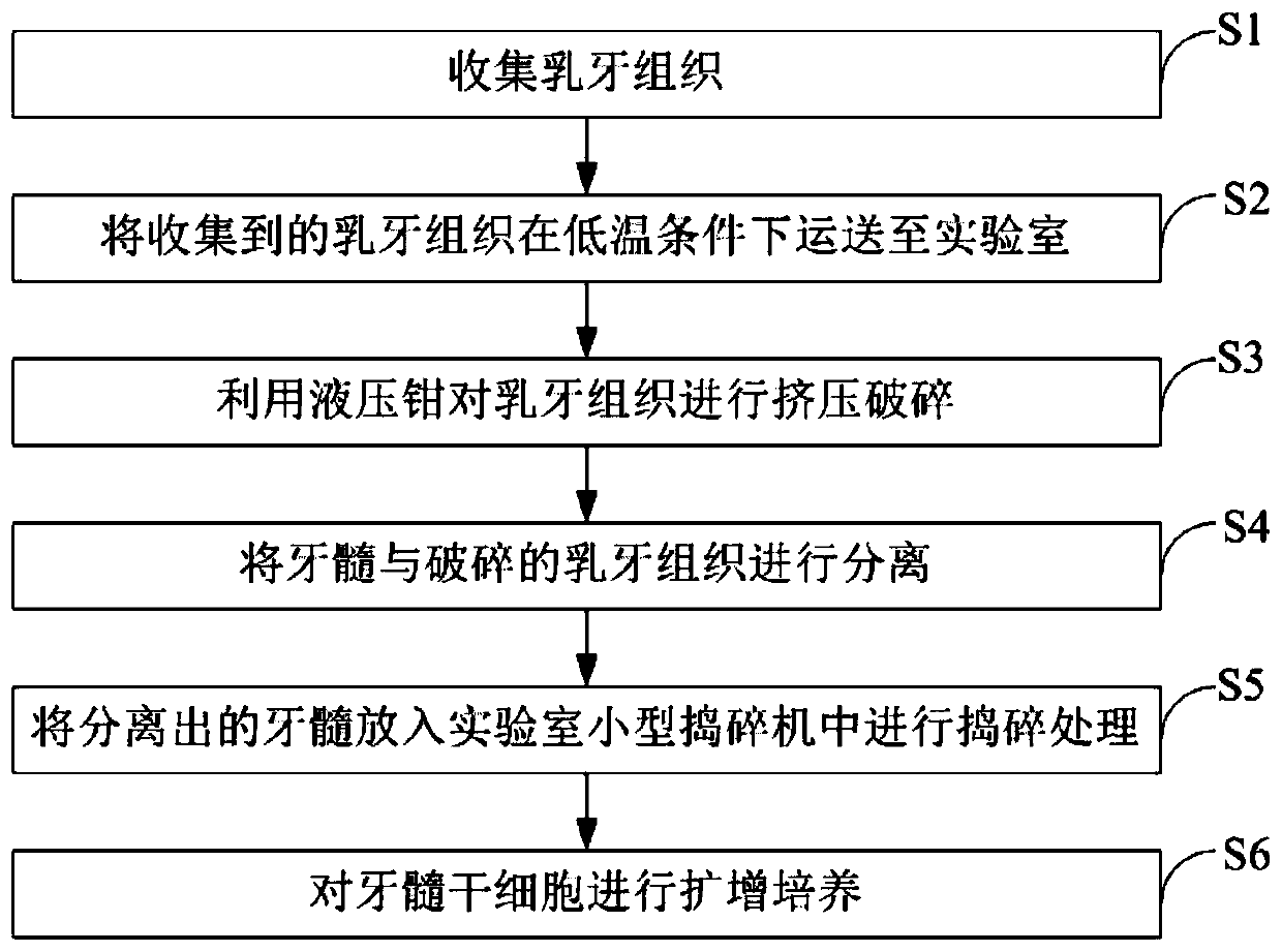 Method for preparing dental pulp mesenchymal stem cells