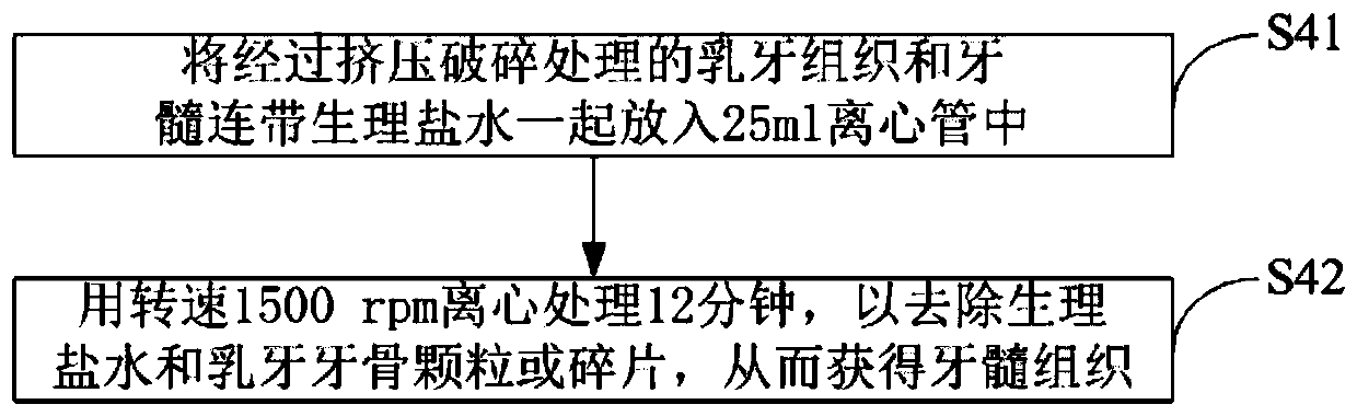 Method for preparing dental pulp mesenchymal stem cells