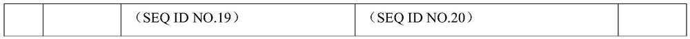 Primer group and kit for rapidly identifying respiratory tract microorganisms based on nanopore sequencing and application of primer group