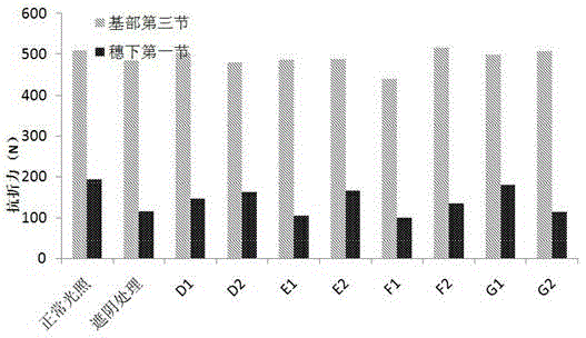 Chemical regulation agent for corn growth and use method thereof