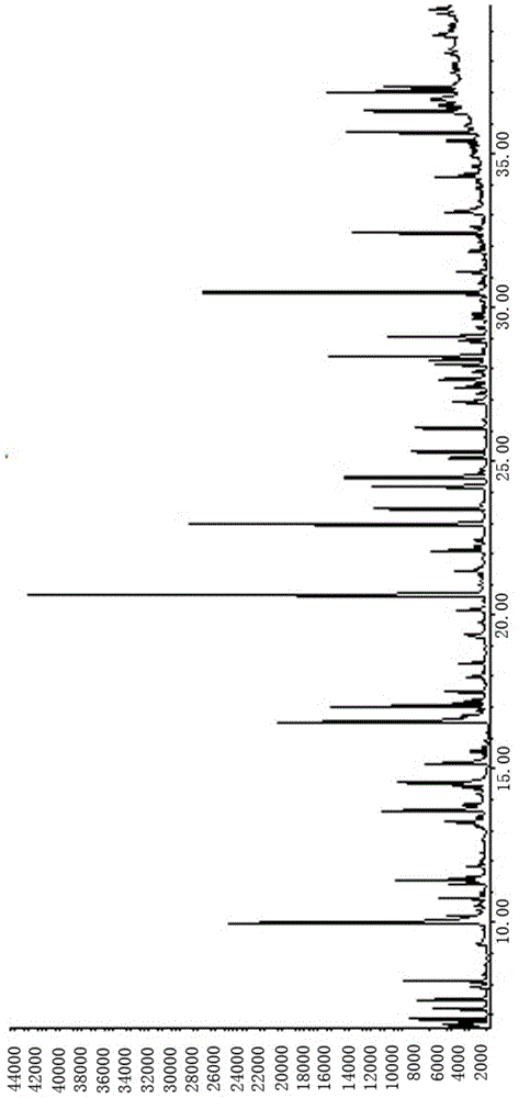 Gas chromatography multichannel sample introduction system and realized atmosphere detection method thereof