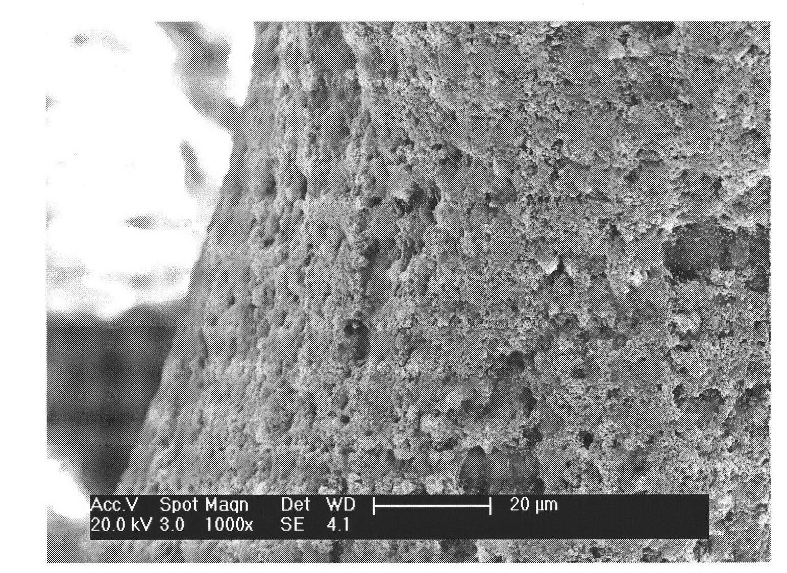 Preparation method of calcium phosphate ceramics/chitosan-hydroxyapatite composite coating porous material